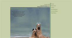 Desktop Screenshot of dejavubriard.com
